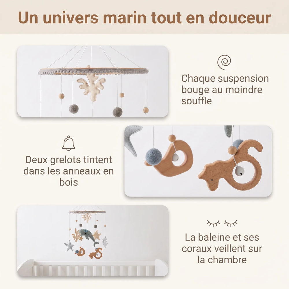 Mobile Mer & océan
